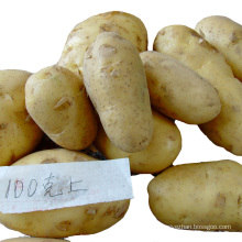Sweet bulk cheap fresh potato
